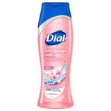 Dial Skin Therapy Body Wash, Himalayan Salt, 16 OZ, thumbnail image 1 of 1