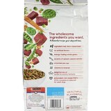 Purina Dog Food Original, thumbnail image 2 of 2