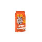 IAMS Proactive Health Adult Original With Chicken Dry Cat Food, 3.5 Lbs, thumbnail image 3 of 5