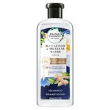 Herbal Essences bio:renew Blue Ginger & Micellar Water Shampoo, 13.5 OZ, thumbnail image 1 of 1