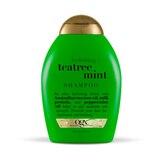 OGX Hydrating TeaTree Mint Shampoo, 13 OZ, thumbnail image 1 of 1