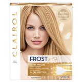 Clairol Nice 'n Easy Frost & Tip Ultra Precise, thumbnail image 1 of 1