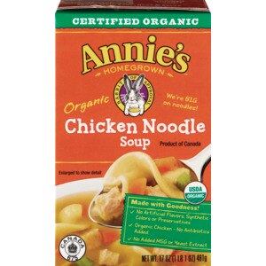 Annie's Organic Chicken Noodle Soup 17 OZ Aseptic Pack