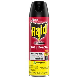 Raid Ant & Roach Killer 26, Lemon Scent