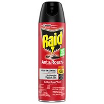 Raid Ant & Roach Killer Spray Outdoor Fresh