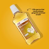 CVS Health Antiseptic Antigingivitis/Antiplaque Mouthwash, Original, thumbnail image 2 of 2