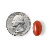 CVS Health Natural Lutein 20 mg Softgels, thumbnail image 4 of 4