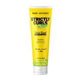 Marc Anthony Strictly Curls 3X Moisture Triple Blend Shampoo, 8.4 OZ, thumbnail image 1 of 1