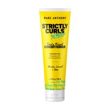 Marc Anthony Strictly Curls 3X Moisture Triple Blend Conditioner, 8.4 OZ, thumbnail image 1 of 1