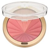 Milani Color Harmony Blush Palette, thumbnail image 1 of 1