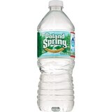 Poland Spring 100% Natural Spring Water Plastic Bottle 20 OZ, 1CT, thumbnail image 1 of 1