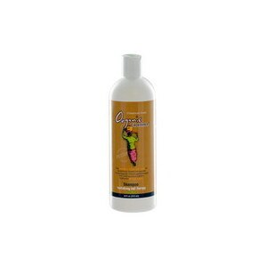 Organic Excellence Wild Mint Shampoo, 16 OZ