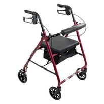 ProBasics Aluminum Rollator, 6" Wheels