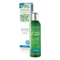 Andalou Naturals Clarifying Aloe plus Willow Bark Pore Minimizer, 6 OZ