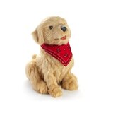 Companion Pet Golden Pup, thumbnail image 1 of 1