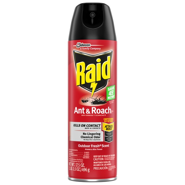 Raid Ant & Roach Killer Spray Outdoor Fresh