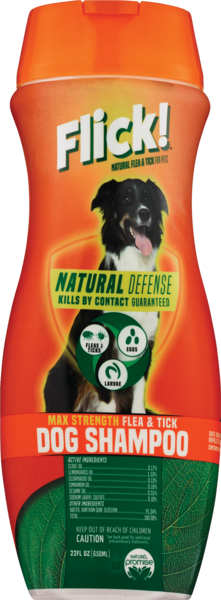 Flick! Max Strength Flea & Tick Dog Shampoo, 22 OZ