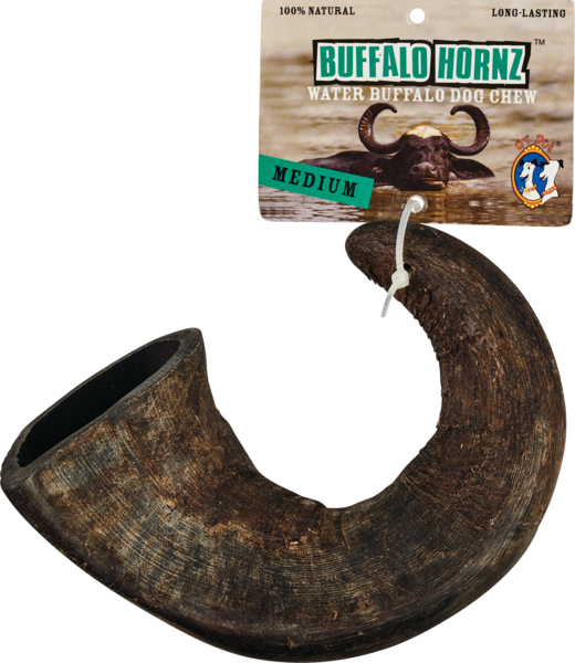 Buffalo Hornz Water Buffalo Dog Chew