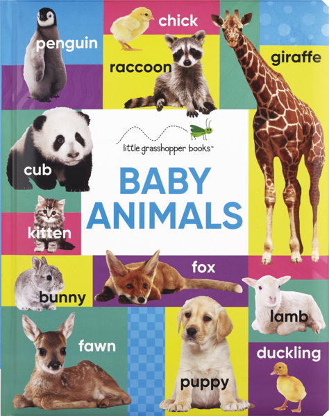 Little Grasshopper Books Early Learning Baby Animals Book